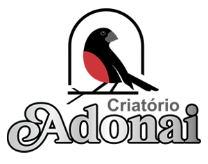 Criatório Adonai Curió Praia Clássico - Lagoa Grande/MG